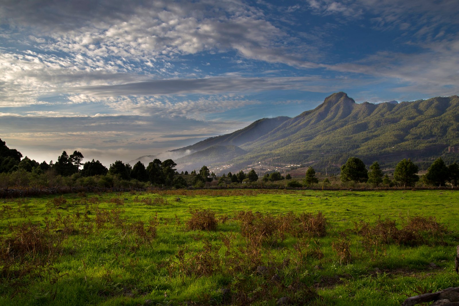 img 0290 2222como objeto inteligente 1